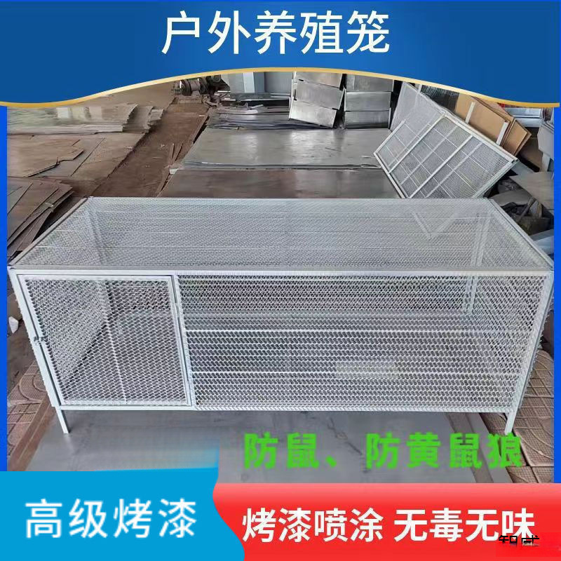 鸡笼鸽笼兔笼家禽笼防鼠防蛇防黄鼠狼家用养殖厂家直销冲孔网