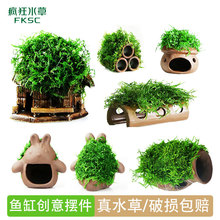 �~��ˮ���쾰Ī˹ˮ�ݑ�����ֲ���~�r��ܹ��r��С�[��С�~�����