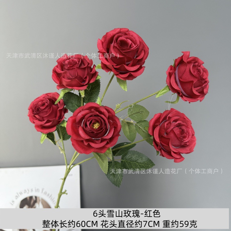 6송이 설산 장미