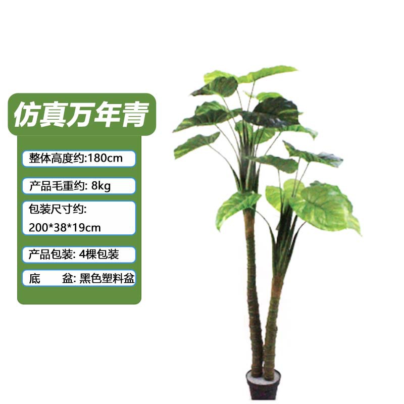 Simulación Evergreen Planta verde en maceta Oficina Sala de estar Decoración del hogar Varilla de plástico Simulación artificial Evergreen maceta