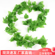 ����66Ƭ���w�����~�ٗl�����Gֲ����~�ܵ�����b����ϾG�~�p�@