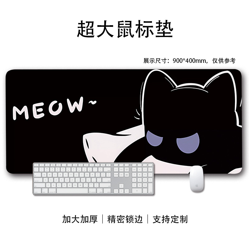 귀여운 고양이 19