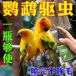 �B����ü�B�������Ч�B�����A���ί���֢�B���B���w�⇊��