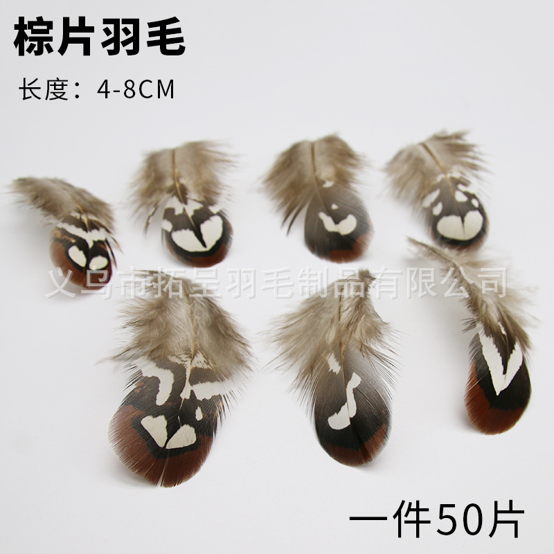 11호 브라운 50개