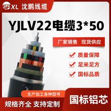 �Xо35kv�߉���|yjlv22-3*50/70/95 �Xо�߉������| �S���N��