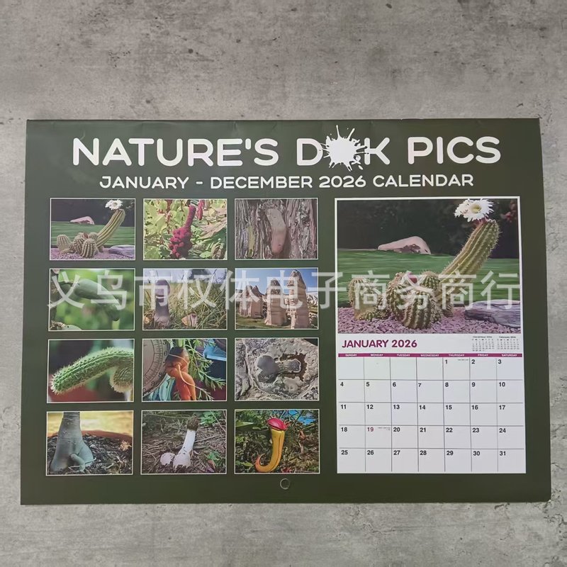 2026年仙人掌恶搞日历 2025 Wall Calendar 桌面装饰仙人球日历|undefined