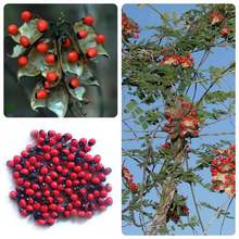 �uĸ���N����˼�ӷ����u��ĸ����ɺ�������\���ж�����ʳ�÷N��