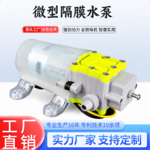 酒精葡萄过滤泵喷雾器高压隔膜泵直流抽水洗车泵增压微型泵特惠