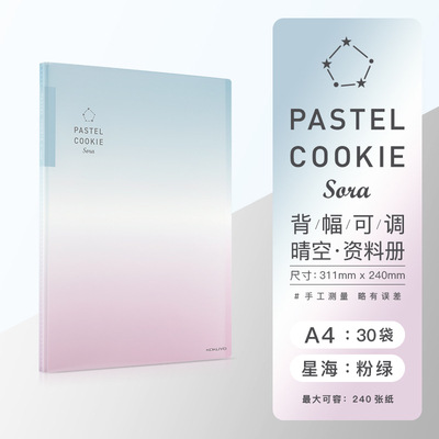 Libro DE DATOS KOKUYO color claro galleta cielo claro serie A4 inserto transparente 40 páginas