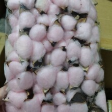 �羳����ľ�޻��^��Ȼ�ɻ��ҾӲ廨DIY�}�Q�b�Ʒ�Ĕz����������