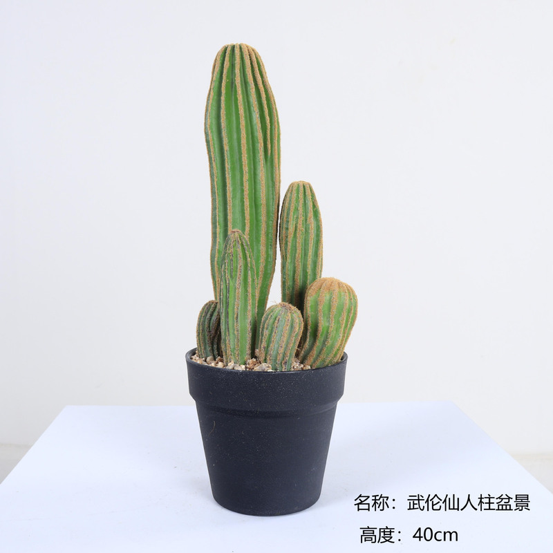 仿真龙神柱仙人掌寄生仙人球摩洛哥沙生植物造景软装样板工程装饰|undefined