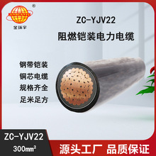 ��h����| ��ȼ�����z�b��|ZC-YJV22 1X300ƽ�� �����|