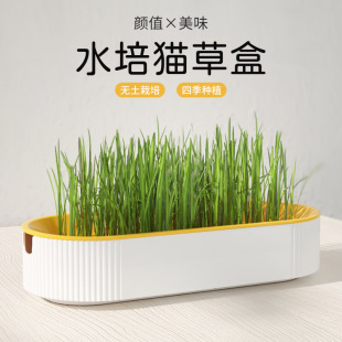 New Cat Snack Wheat Seeds Soilless Hydroponic Cat Grass Growing Instant Hair-removing Ball Digestion Pet Food