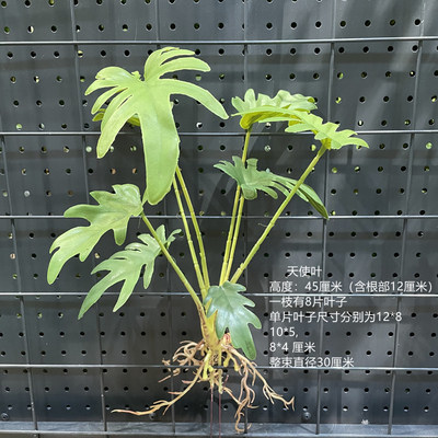 ペルシャのトルコの葉のシダの植物の偽の花の草の緑の葉の結婚祝いの柔らかい装飾の生け花の配材の背景の壁の装飾|undefined