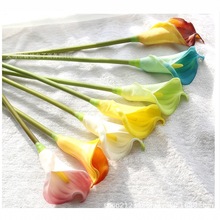 �羳������ĭ������pu�R��ɏ���~С����ϲ�ǶY�л�c�������b�