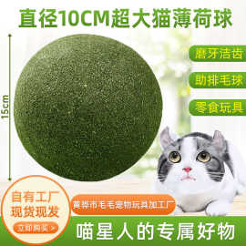 10cm超大猫薄荷球猫咪玩具木天蓼磨牙棒猫零食镂空薄荷球宠物用品