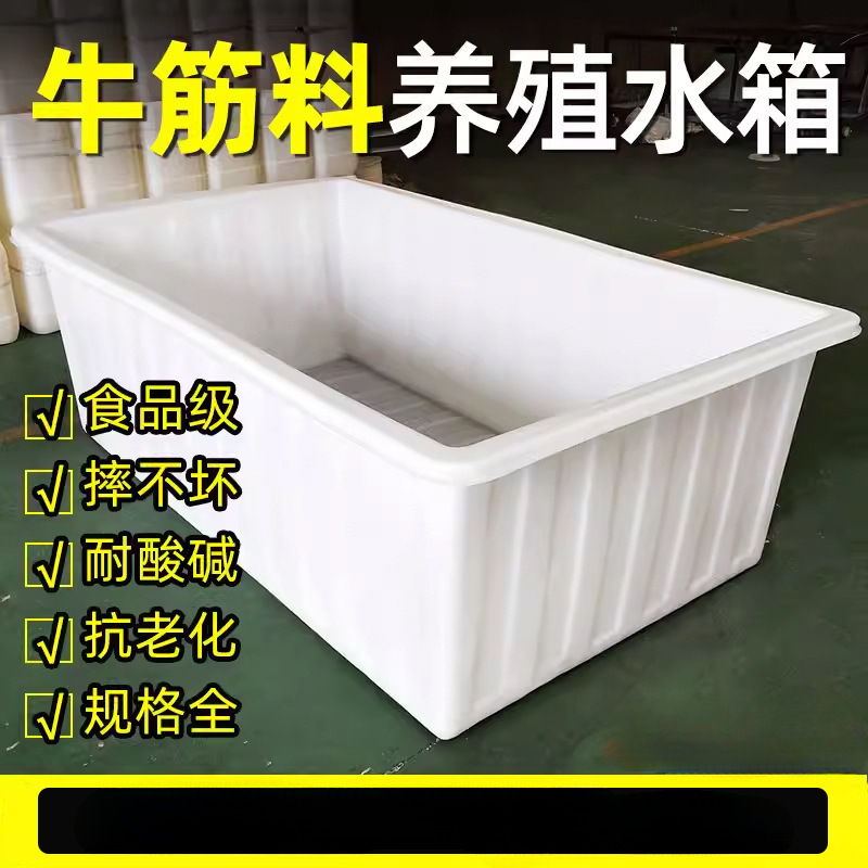 大型の厚みのある牛腱プラスチック水槽、長方形の水貯蔵バケツ、養殖用角型バケツ、魚の販売、牛腱浅い盆地|undefined