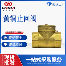 盾安立式铜止回阀弹簧式加厚自来水管道止逆阀4分6分1寸H14W-16T