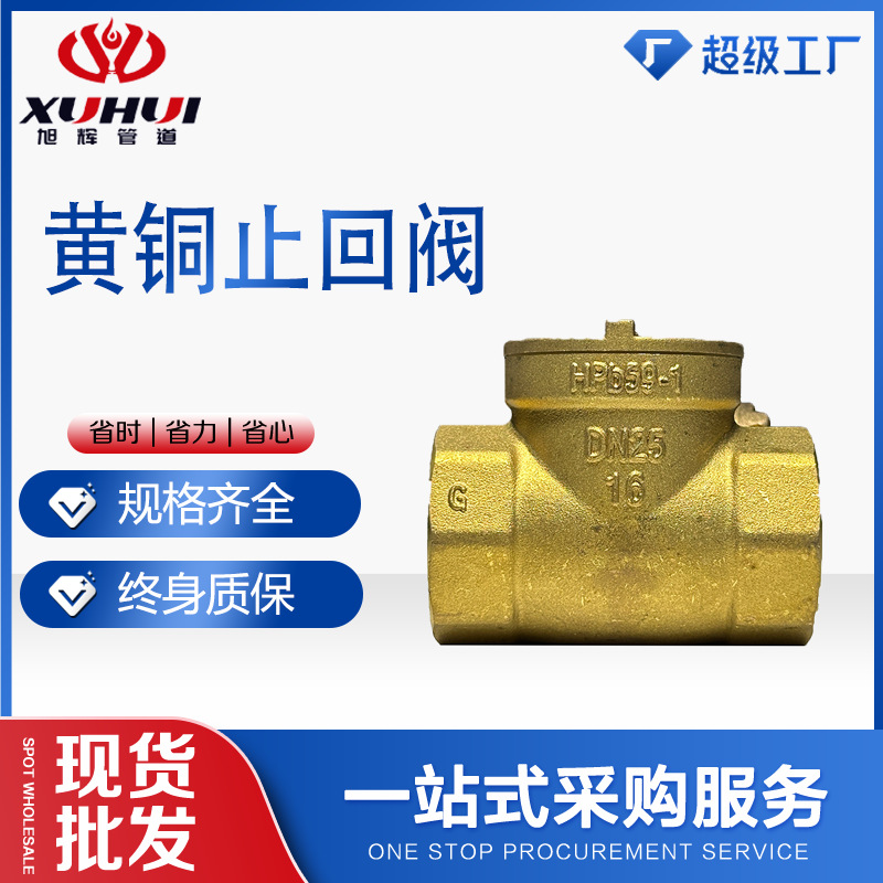 盾安立式铜止回阀弹簧式加厚自来水管道止逆阀4分6分1寸H14W-16T