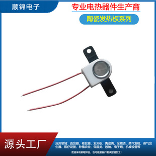 Huizhou Ceramic Shell Heating Core Heating Body 3V5V12V Steam Hair Comb Heating Core Voltage Sjmch01
