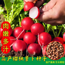 ˮ�������}���N�Ѵ�ȫ�ļ��̨�����P���}���N�Ӽt��С�}���N����