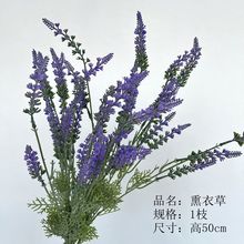 ����Ѭ�²ݷ��滨�ٻ�����ֲ���ѹ�Ӣ�G�_����ľ��c�b�õ�廨