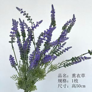 ����Ѭ�²ݷ��滨�ٻ�����ֲ���ѹ�Ӣ�G�_����ľ��c�b�õ�廨