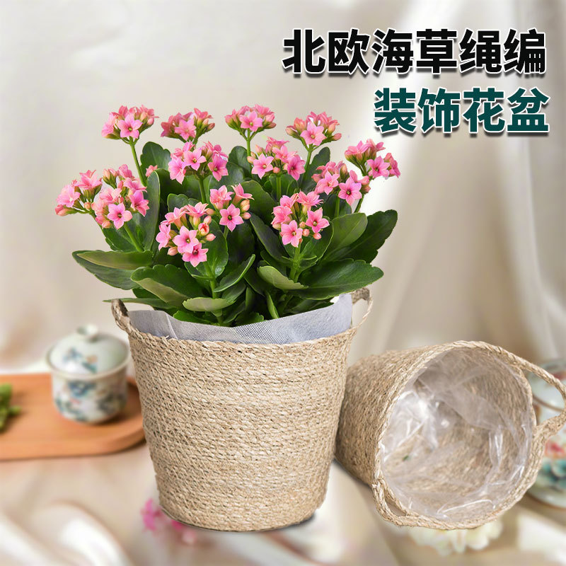 Nórdico de hierba de cuerda trenzada maceta decorativa de hierba trenzada a mano maceta decorativa de hierba foto posing props al por mayor