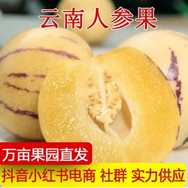 其他水果;柑桔;梨