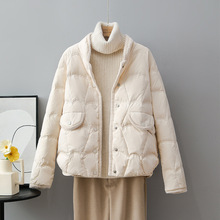 2025궬¿qŮqI߅p̿ɰ@