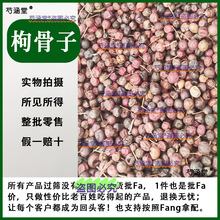 泡酒枸骨子果实 十大功劳子中草药功劳籽刺枸骨子枸骨籽500g 中药
