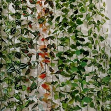 ����ڒ��z�~�G�}�ټٻ�����ɽ���Ғ��bᎧ����ֲ������ާ�