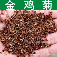 草花种子 金鸡菊种子 小波斯菊 金钱菊种子 1件=1斤