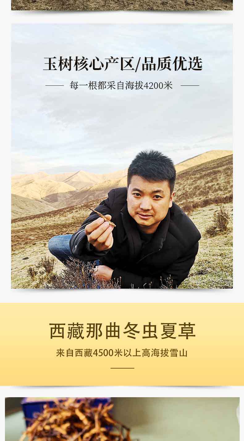 冬虫夏详情页草_05