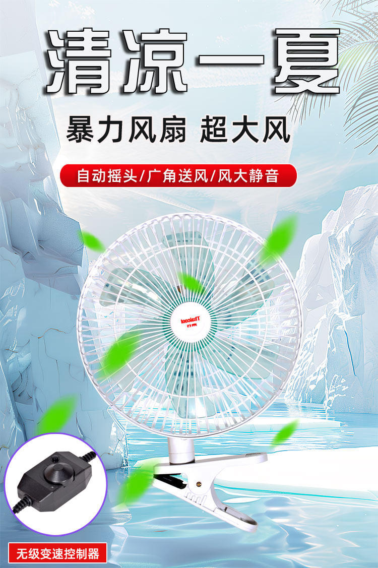 Taigu 11inch Dual-Motor Car Fan New Model 24V Large Truck Silent Cooling 12V Powerful Car Electric Fan