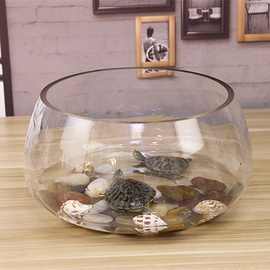 乌龟缸家用鱼玻璃圆形办公桌绿萝水培小鱼创意透明小型迷你桌面