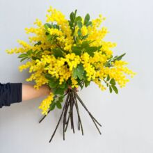 �߽�Ϛg����ë�q��˼���ٻ��Ҿ��҃��b��͏dܛ�b��ˇ�zӰ����