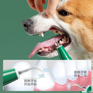 Dog cat tooth cleaner pet dental calculus removal ultrasonic tooth cleaner cleaning teeth dirt deodorant instrument