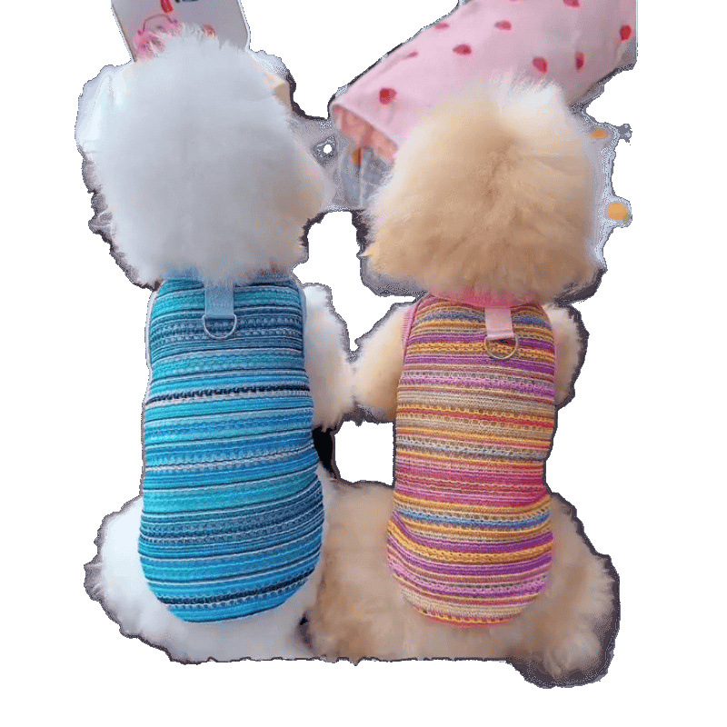 Ropa de perro y gato de verano antipello arco iris transpirable trenzado chaleco hueco Teddy Bear Pomeranian perros pequeños
