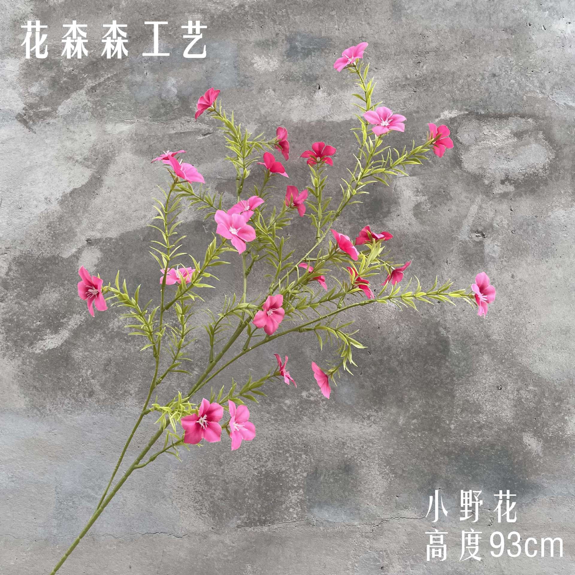 작은 야생화 111753