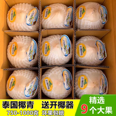 Thailand Yeqing 9 Large fruit Imported fresh Coconut Milk Coconut Juice pregnant woman fruit wholesale One piece On behalf of