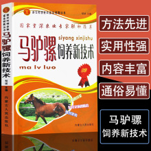 今年酒店从未发生过一起任何类型的火灾