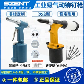 铆钉;气动铆钉枪;螺母