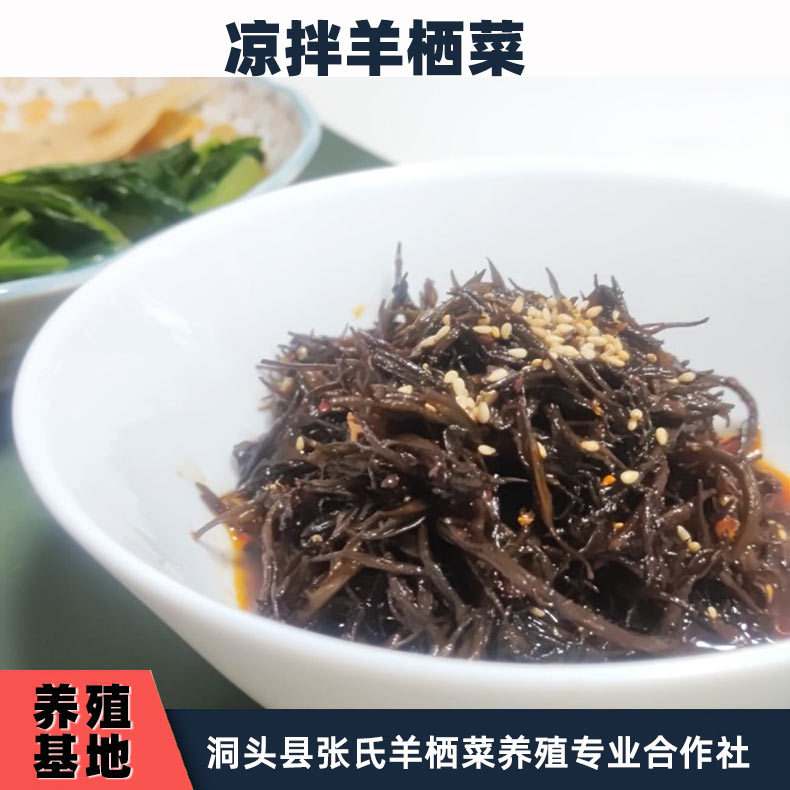 批发出口免洗羊栖菜干品长寿菜鹿角菜昆布水产养殖