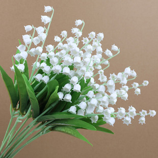 �羳���N������m�L⏲� �Ҿ��b�ƿ�廨�[�� ��Y�û��ٻ����l