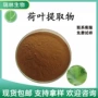 精选原料荷叶提取物