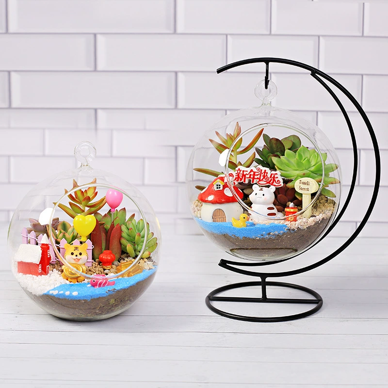 16 Новогодняя мясистая Лунная подставка стеклянный шар бутылка подарок в горшке микро бонсай офисный стол материал для посадки мяса сумка