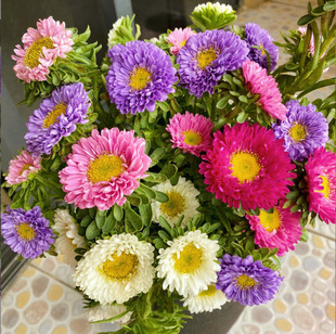 Small Chrysanthemum Seeds, Large Flowers, Easy-To-Grow Flower Seeds, Flower Seeds That Bloom in All Seasons, Outdoor Flower Seeds Sown in All Seasons