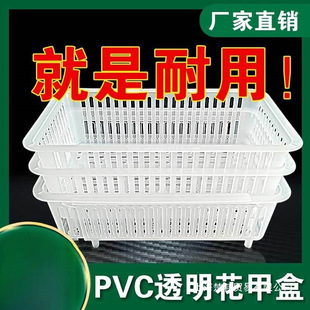 Transparent Seafood Pool Fish Tank Shell Clam Flowing Water Sand-Spitting Plastic Basket Permeable Basket Sand-Draining Telescopic Clam Box