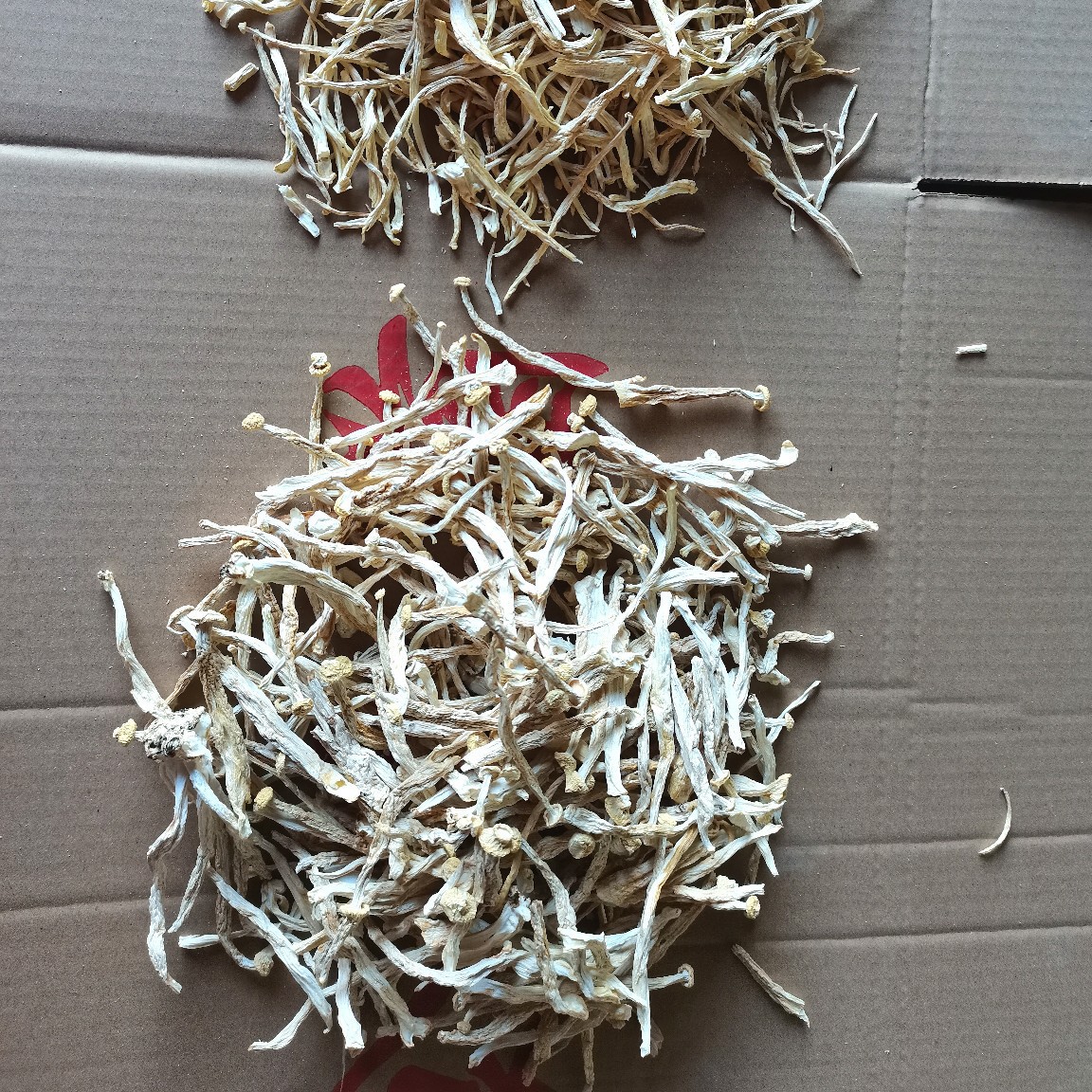 O1CN01Y7SZuo1o8wh5tpefC_!!2211